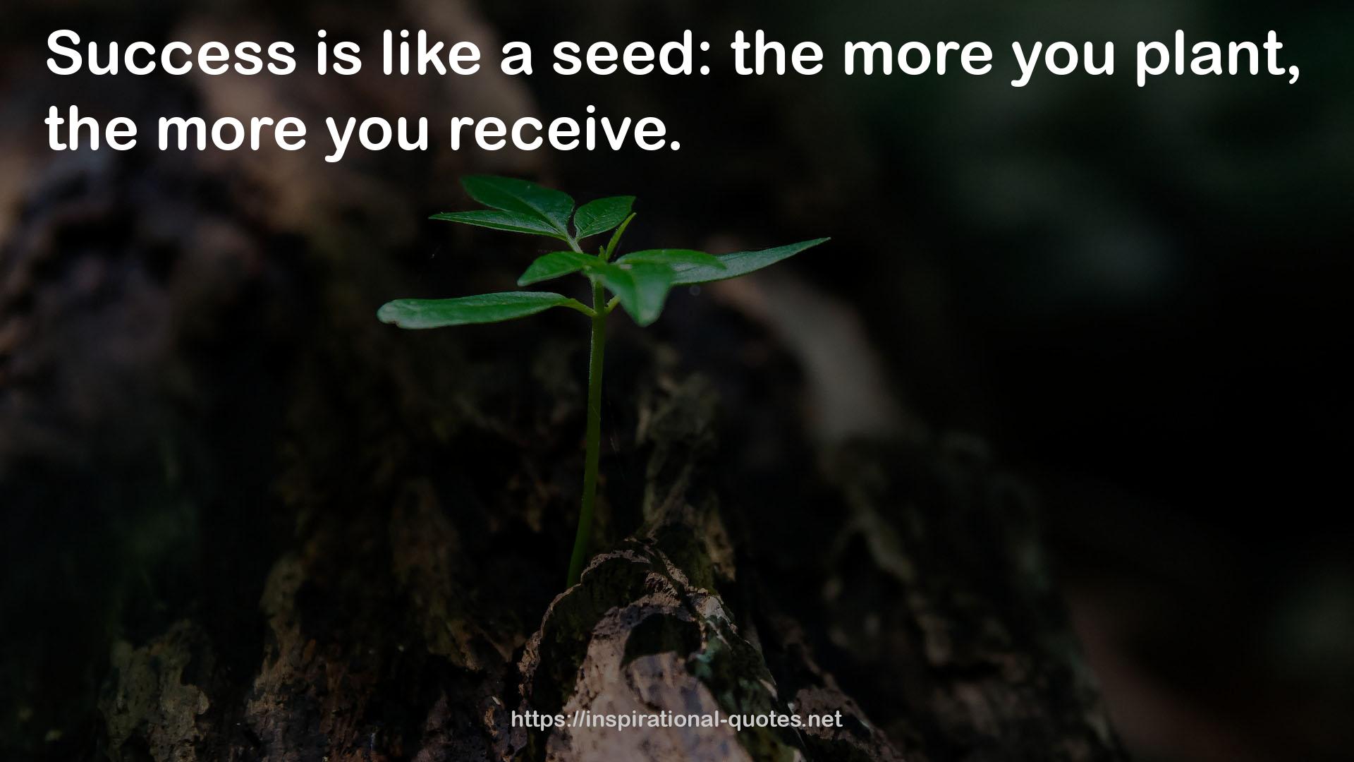 a seed  QUOTES