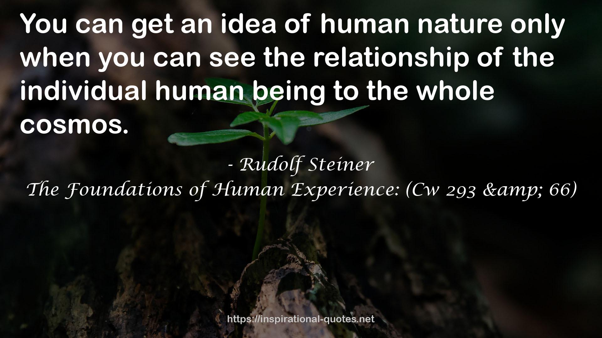 The Foundations of Human Experience: (Cw 293 & 66) QUOTES