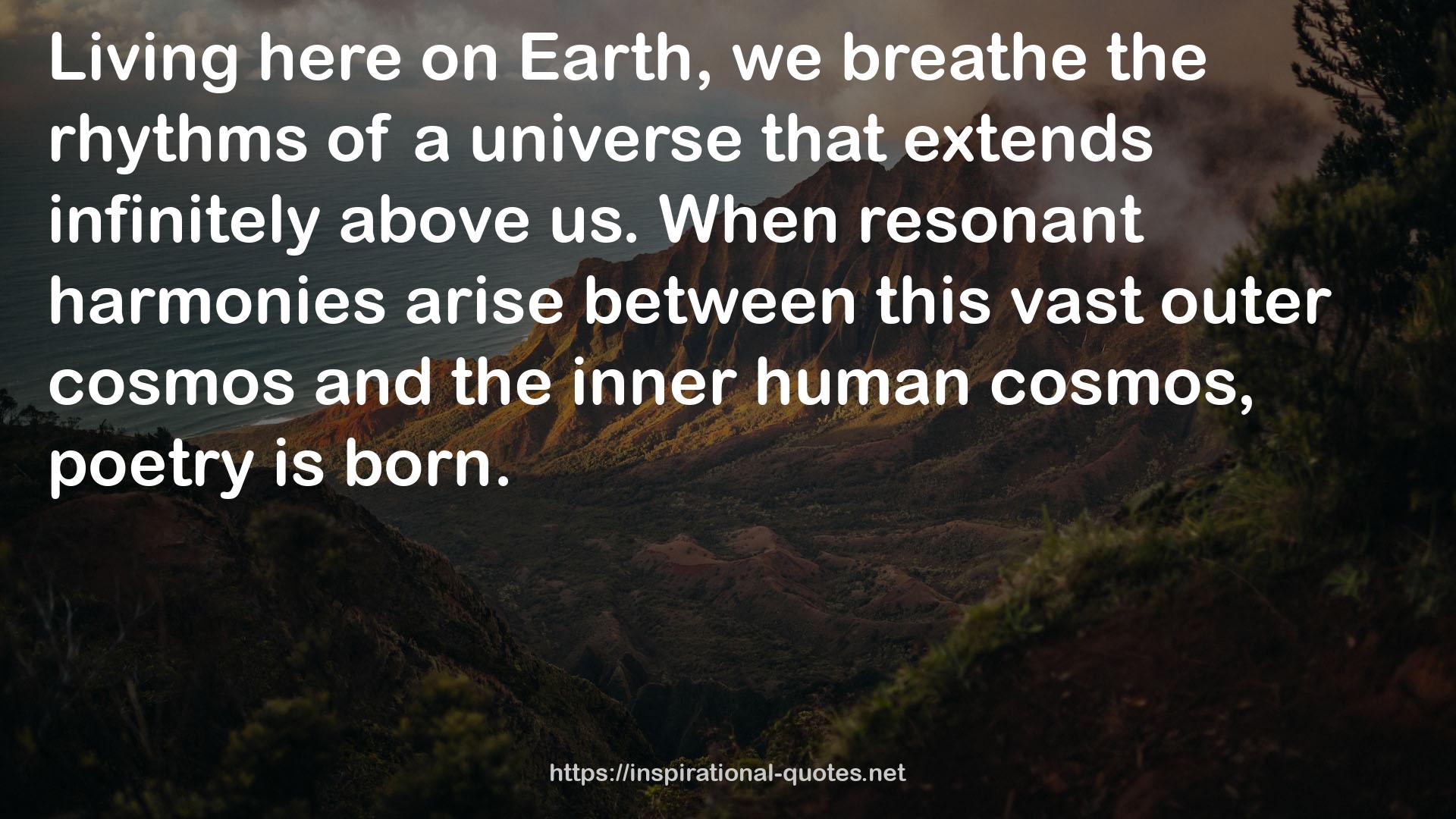 this vast outer cosmos  QUOTES