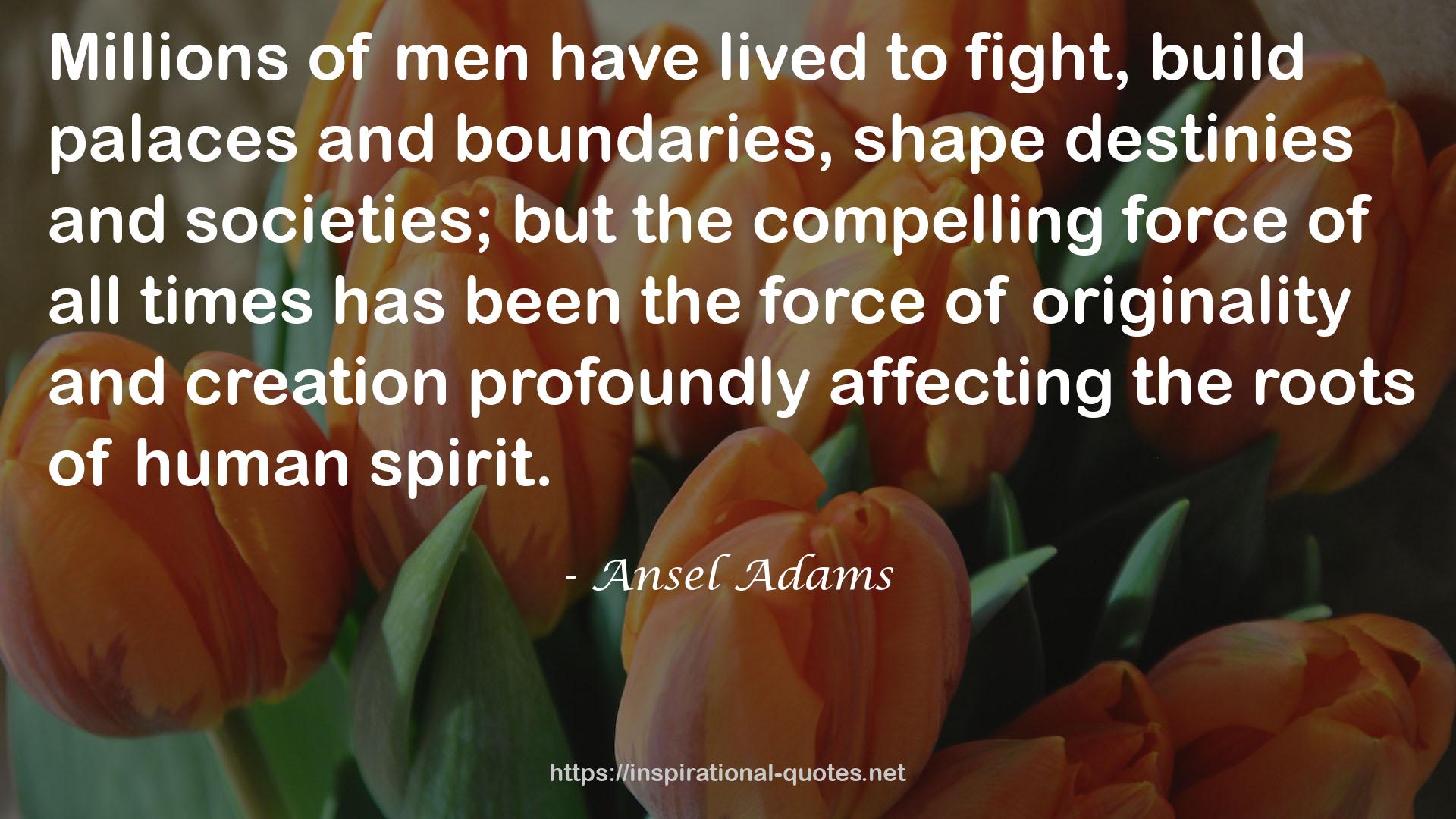 Ansel Adams QUOTES