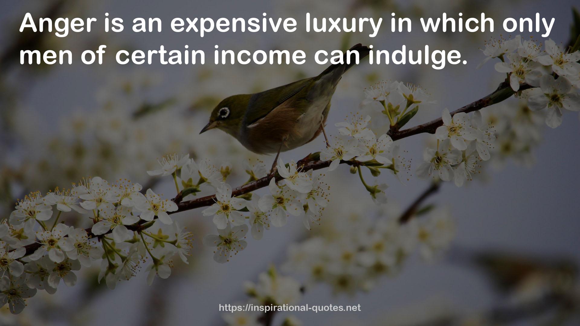 an expensive luxury  QUOTES