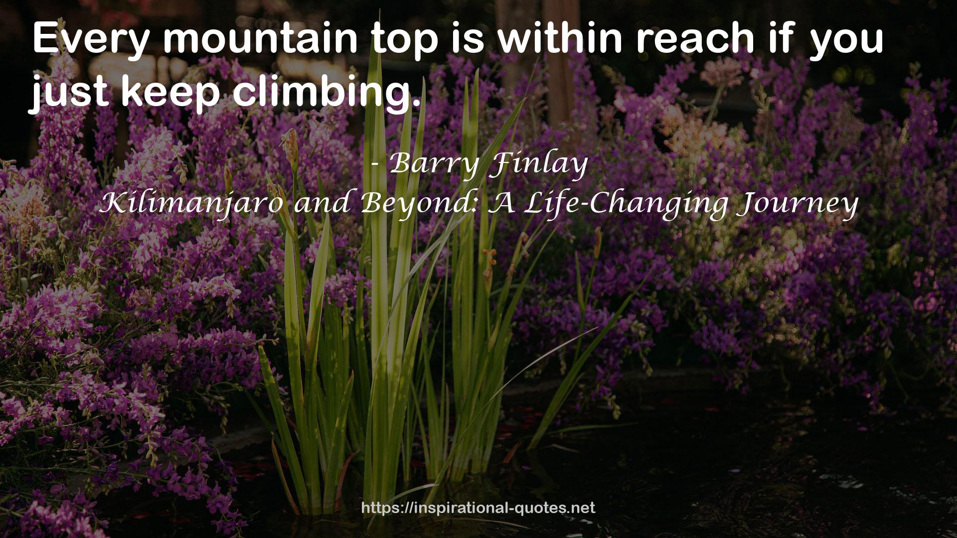 Kilimanjaro and Beyond: A Life-Changing Journey QUOTES