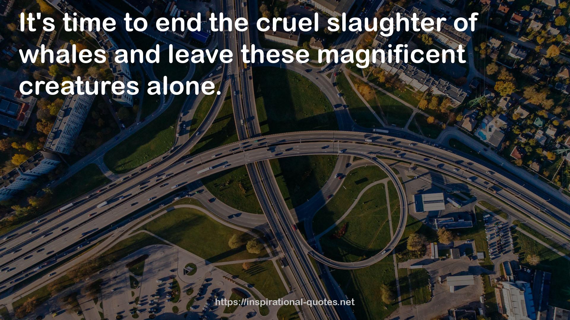 the cruel slaughter  QUOTES