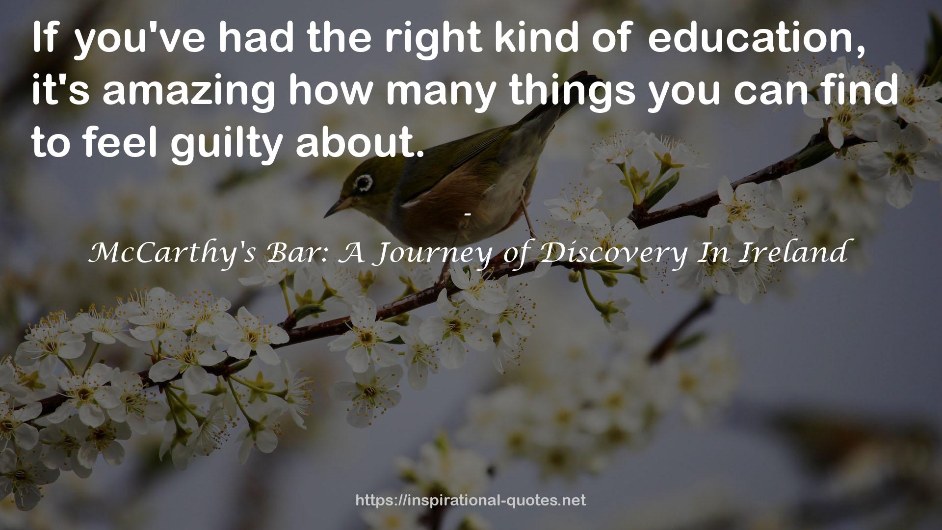 McCarthy's Bar: A Journey of Discovery In Ireland QUOTES