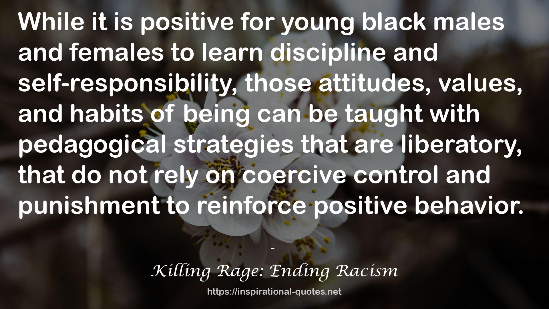 Killing Rage: Ending Racism QUOTES