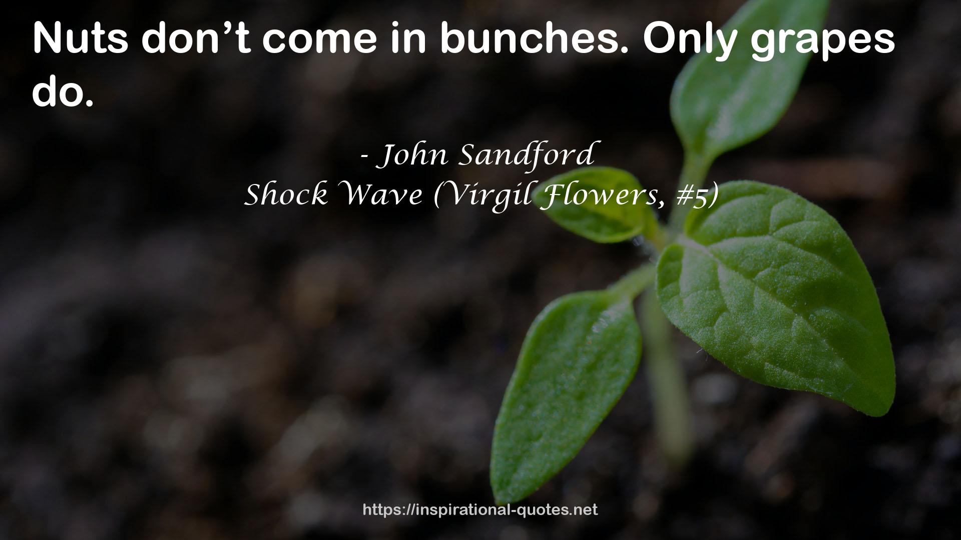 Shock Wave (Virgil Flowers, #5) QUOTES
