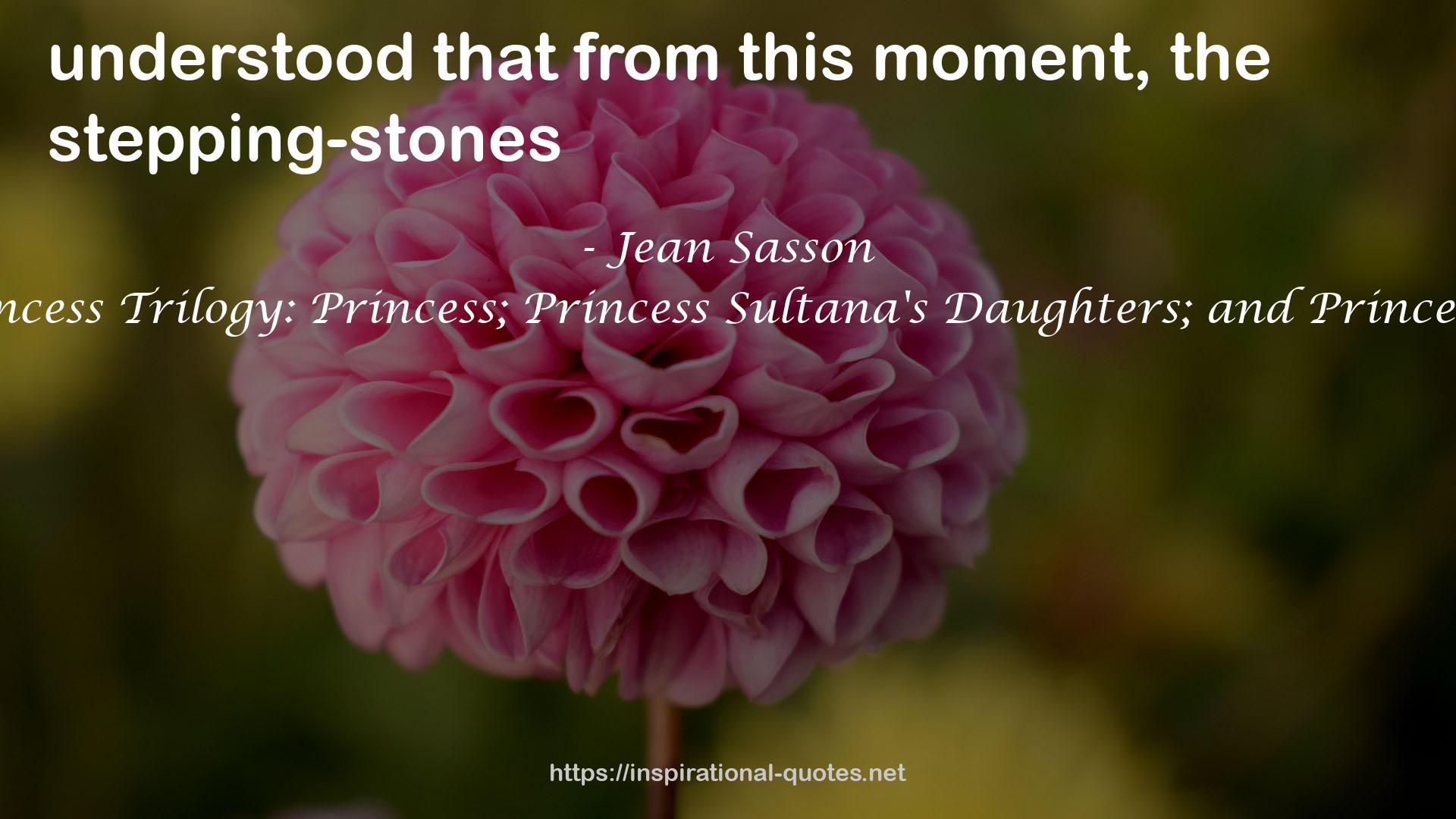 The Complete Princess Trilogy: Princess; Princess Sultana's Daughters; and Princess Sultana's Circle QUOTES