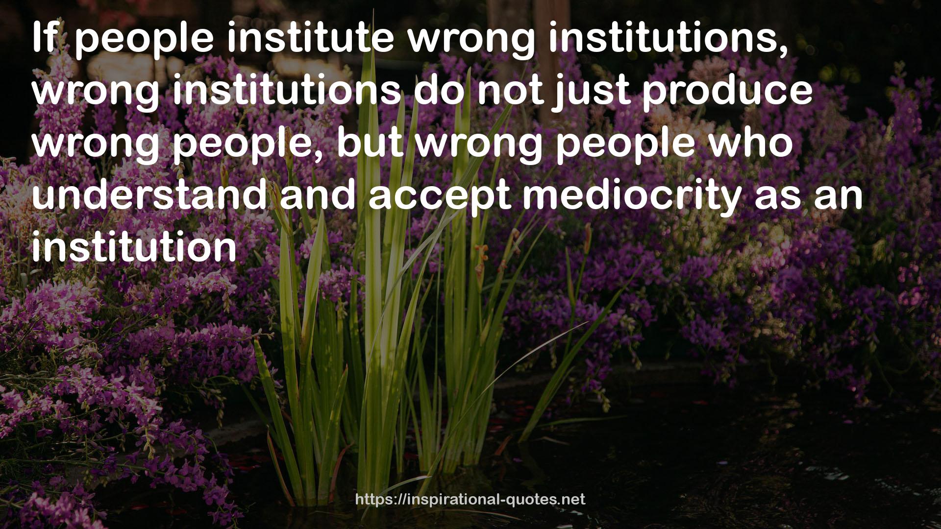 wrong institutions  QUOTES