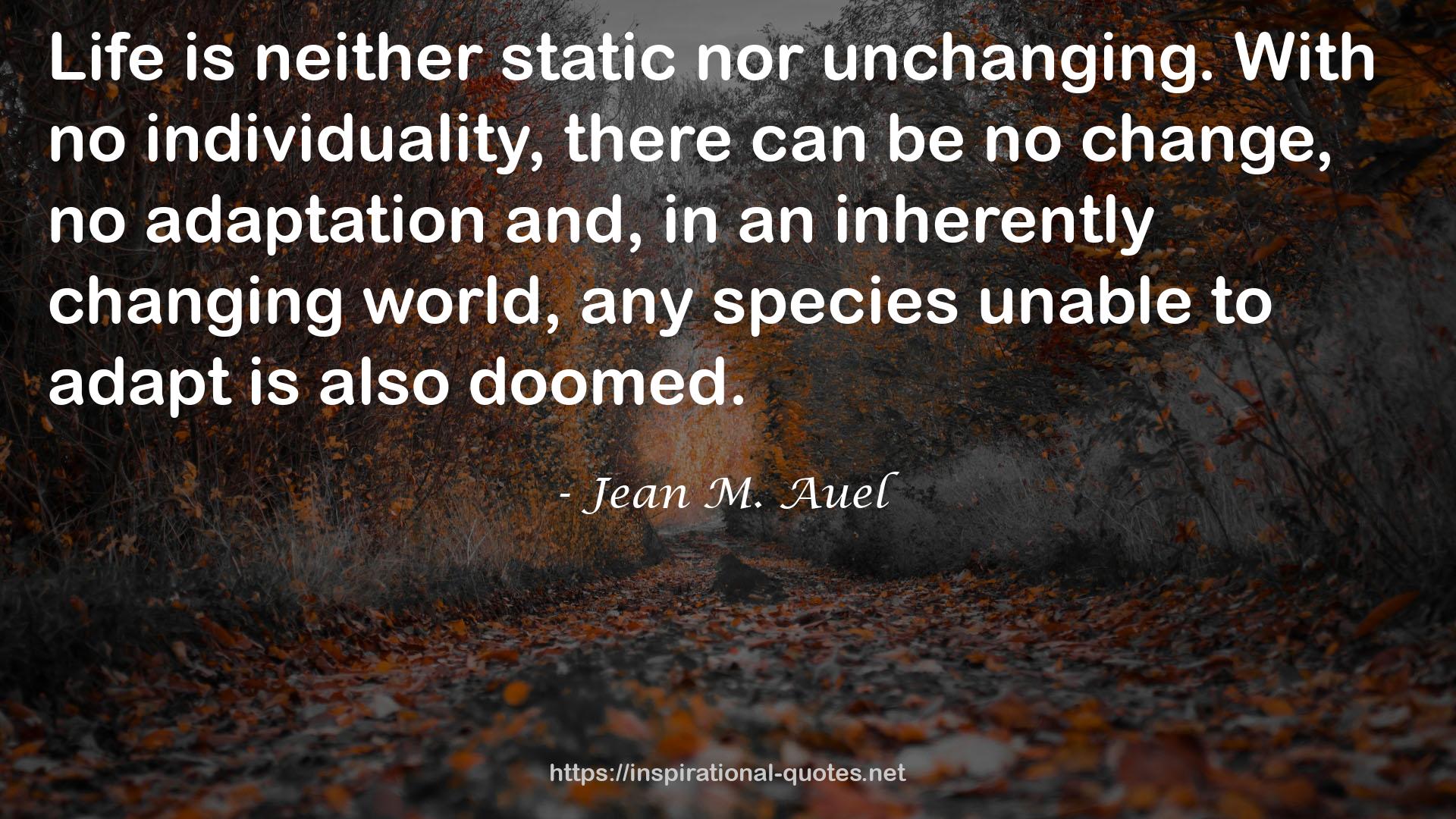 Jean M. Auel QUOTES