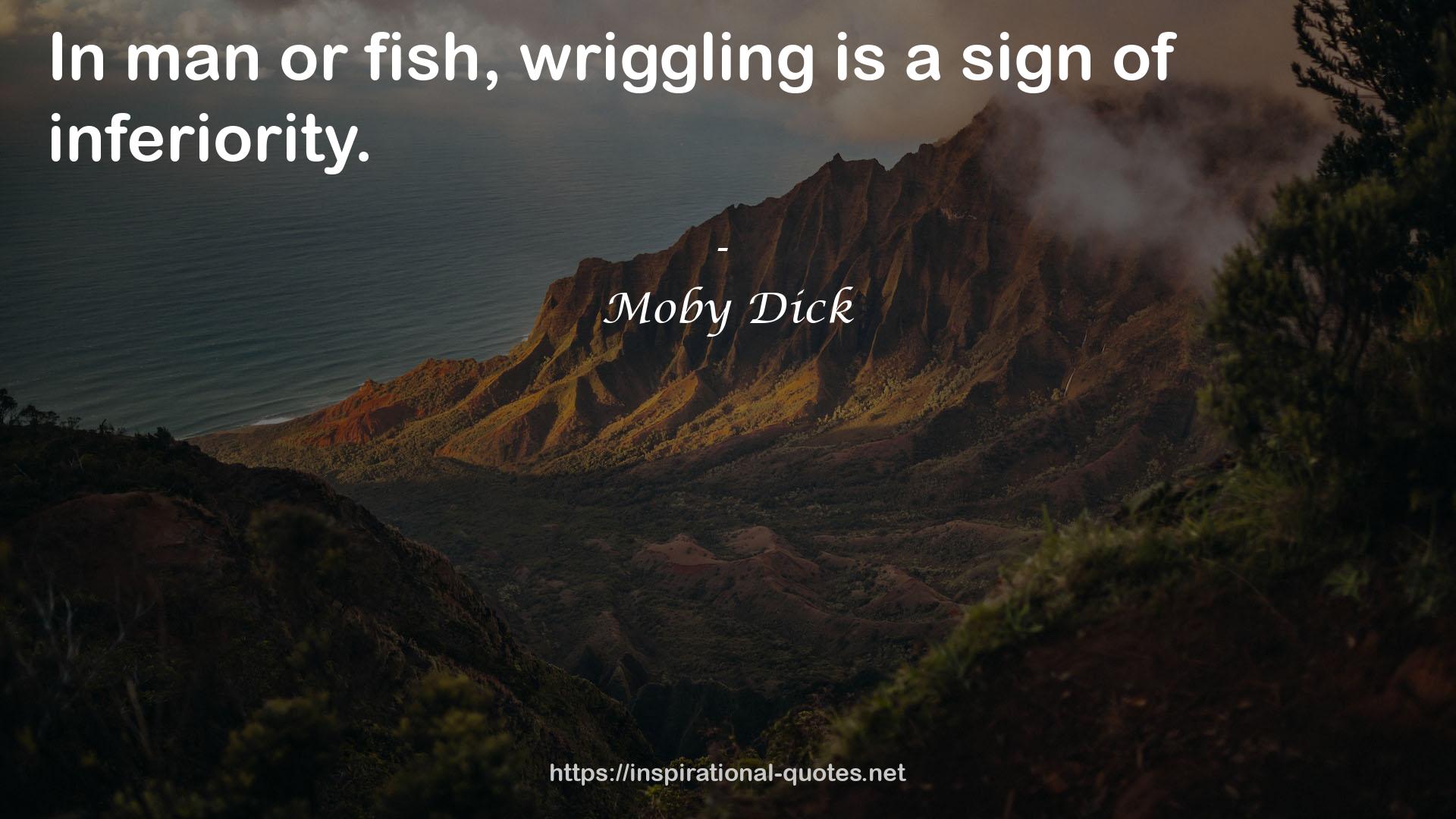 Moby Dick QUOTES