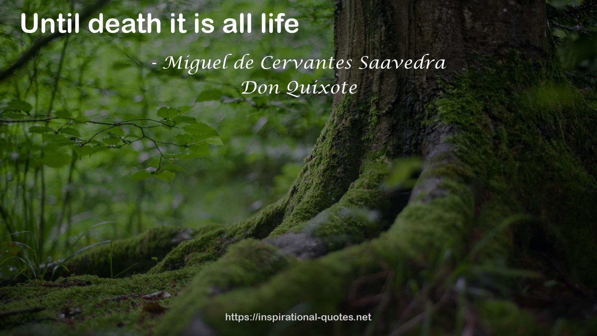 Miguel de Cervantes Saavedra QUOTES