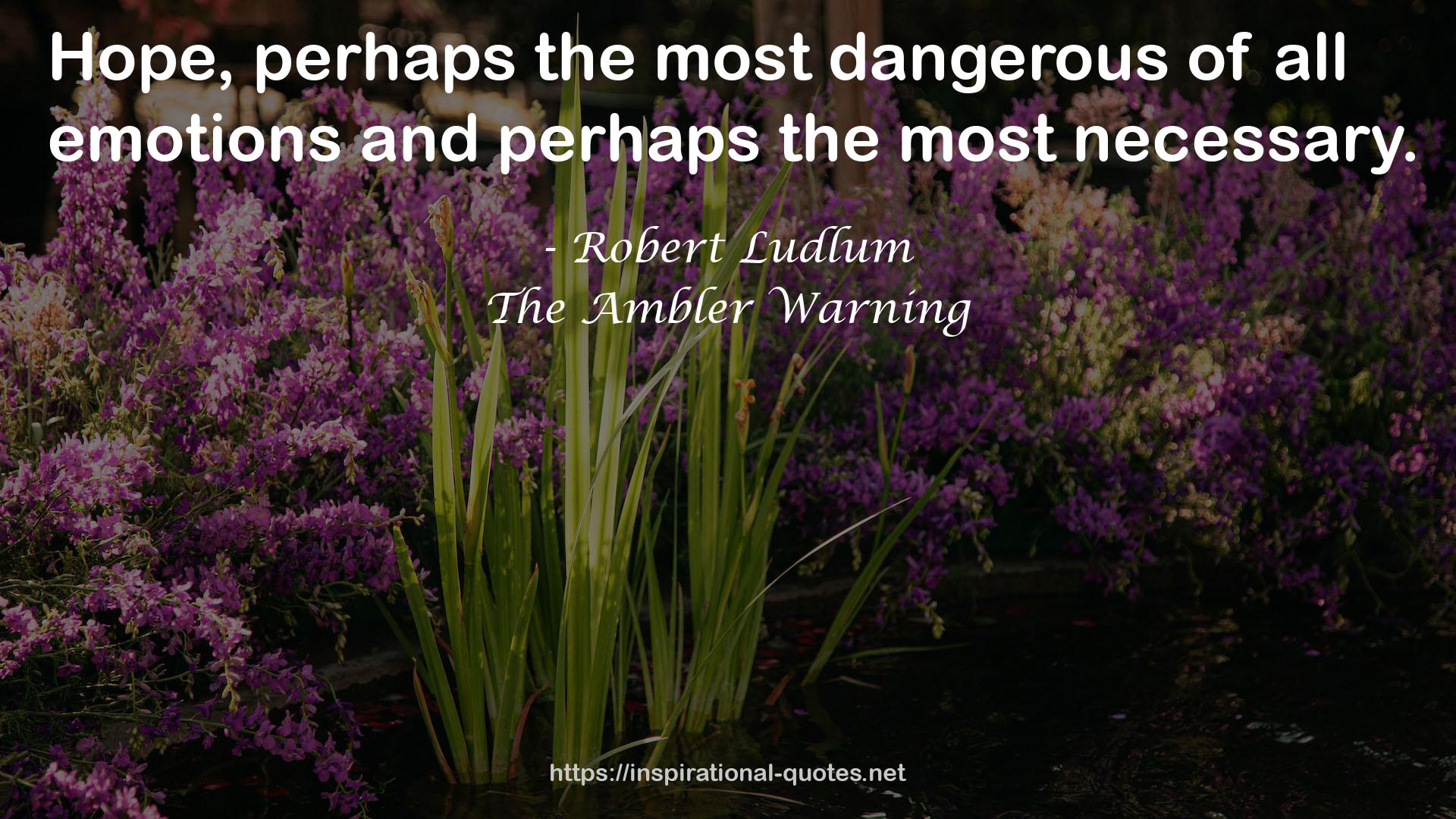 The Ambler Warning QUOTES