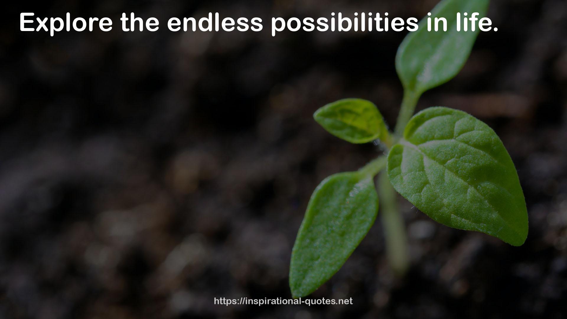 the endless possibilities  QUOTES
