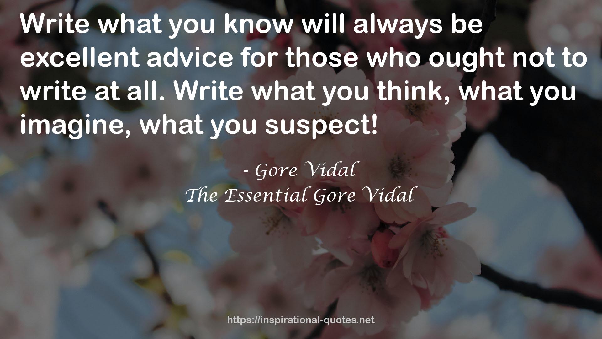 The Essential Gore Vidal QUOTES