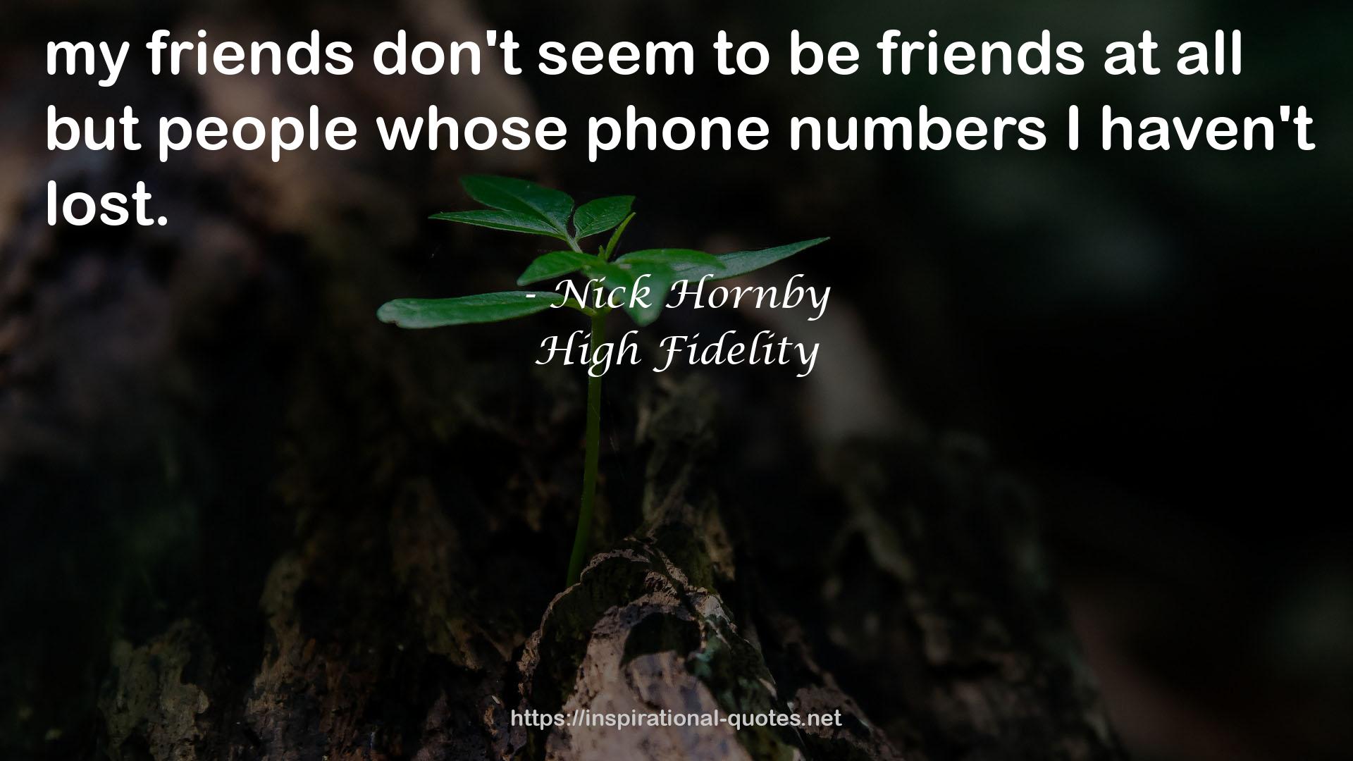 High Fidelity QUOTES