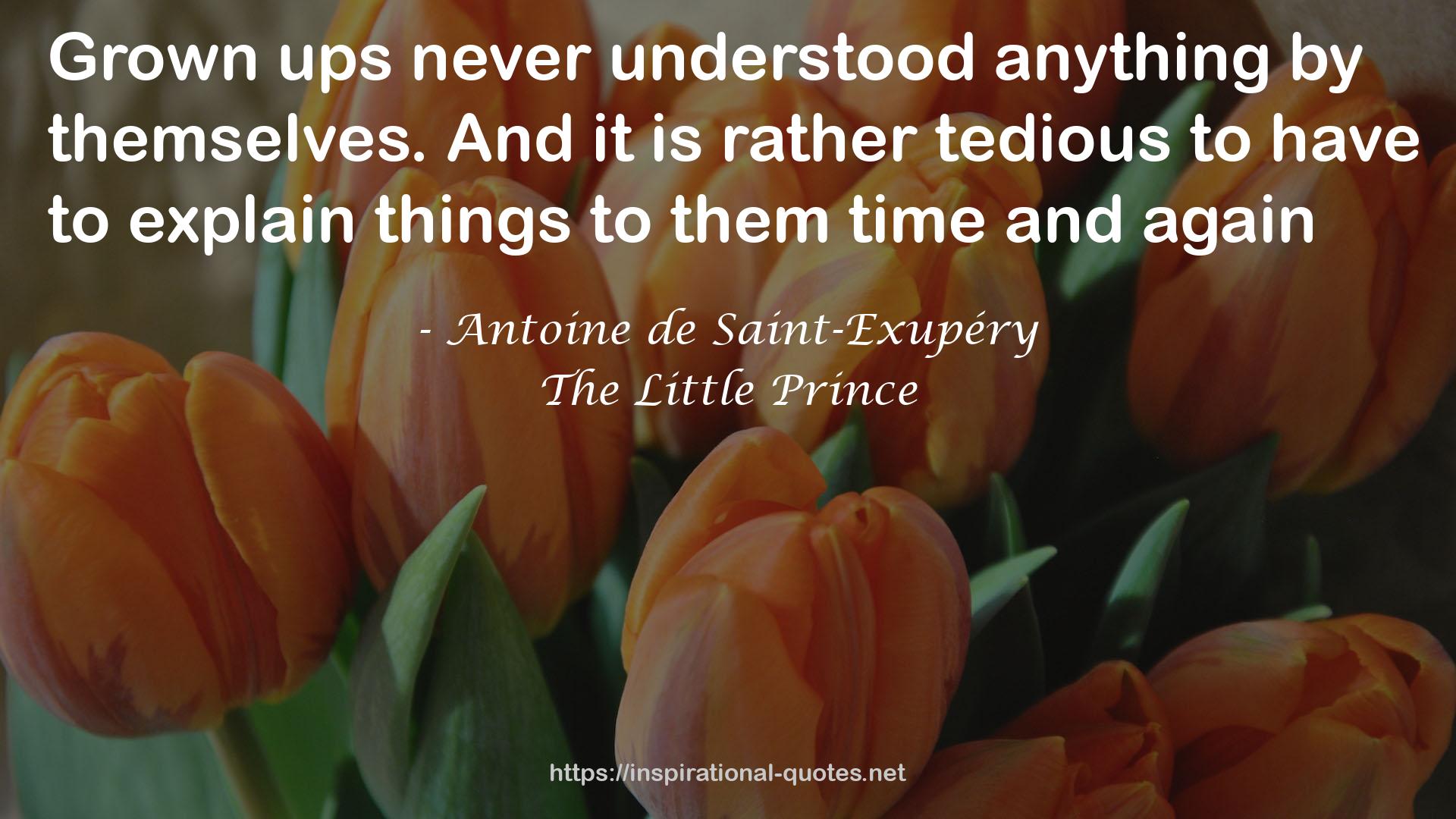 Antoine de Saint-Exupéry QUOTES