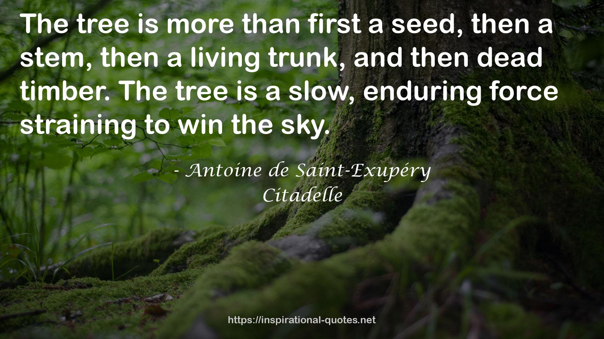 Citadelle QUOTES