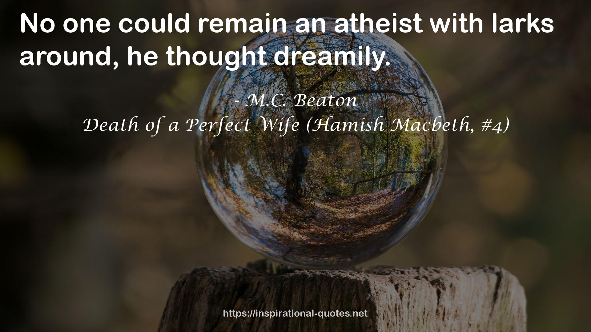 Death of a Perfect Wife (Hamish Macbeth, #4) QUOTES