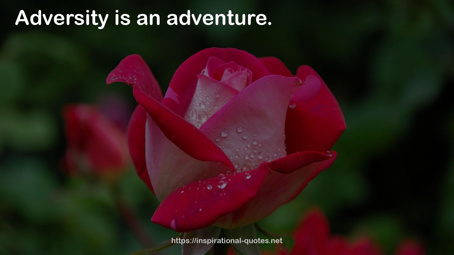 an adventure  QUOTES