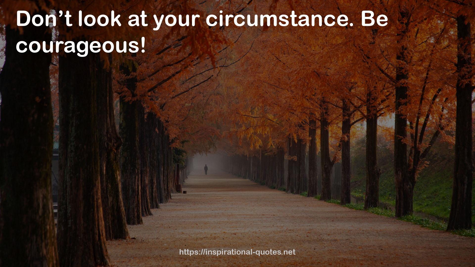 your circumstance  QUOTES