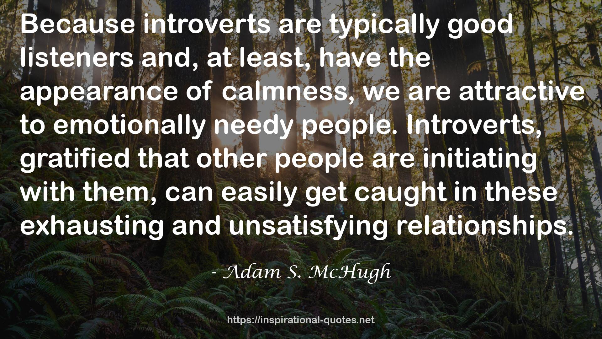 Adam S. McHugh QUOTES