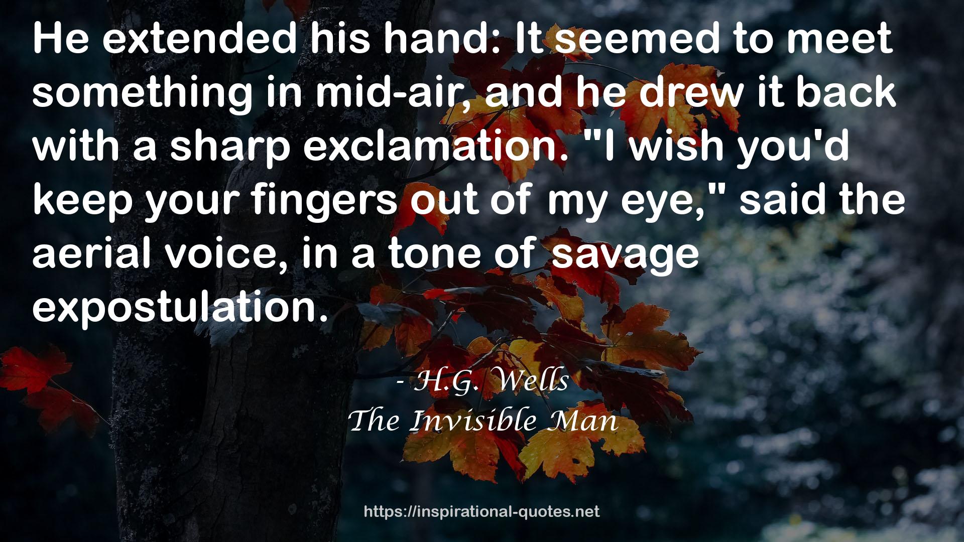 The Invisible Man QUOTES