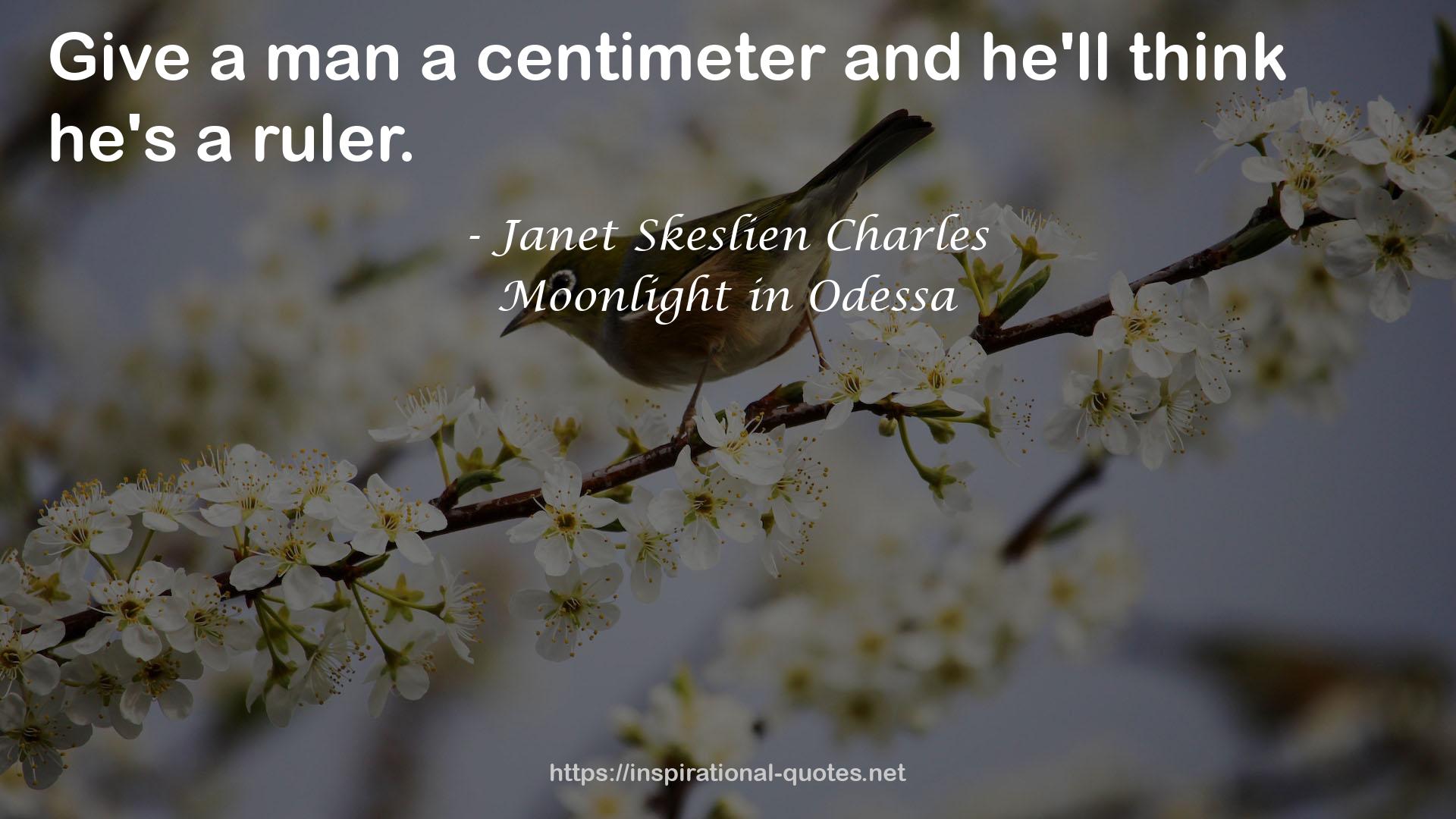 centimeter  QUOTES