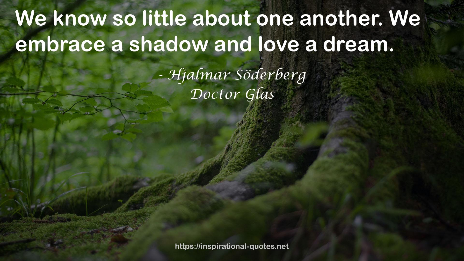 Doctor Glas QUOTES
