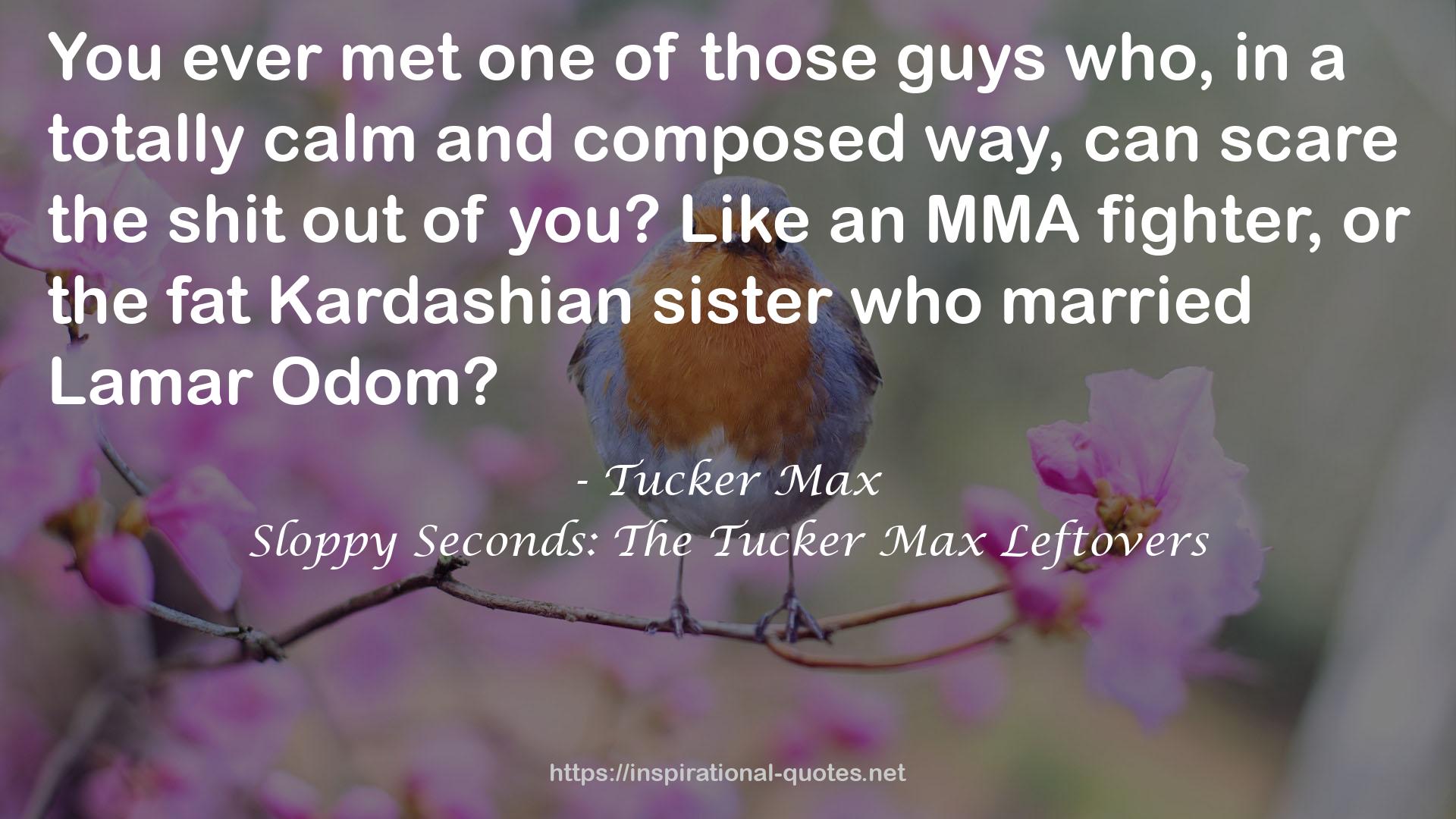 Sloppy Seconds: The Tucker Max Leftovers QUOTES