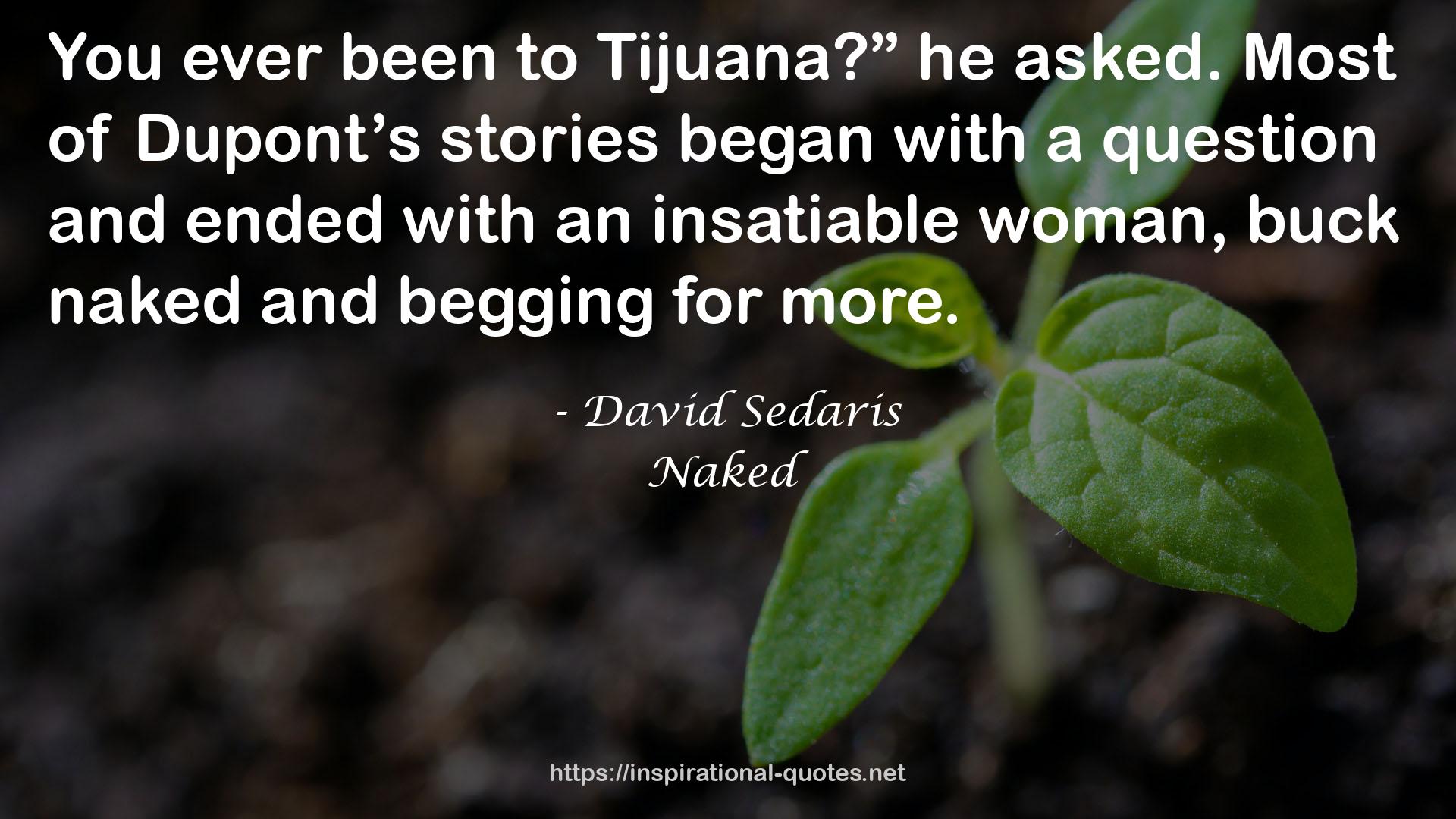 David Sedaris QUOTES