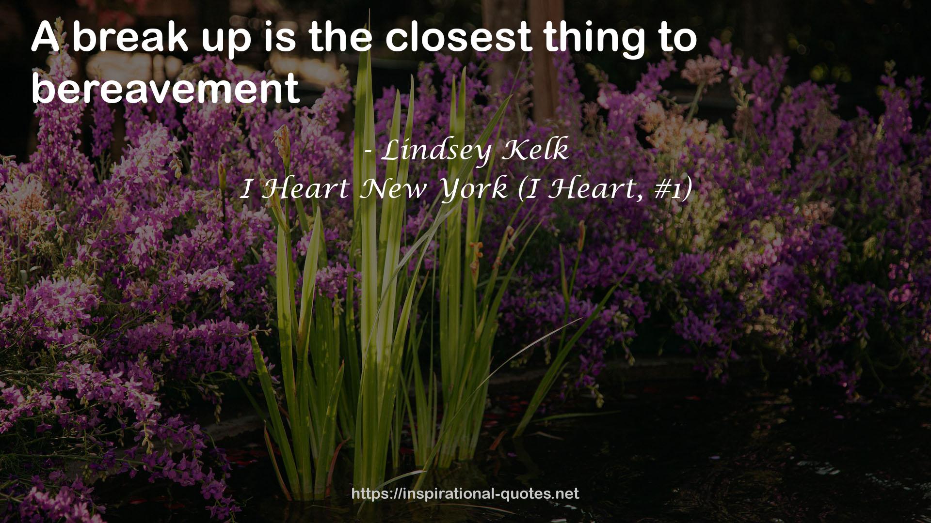 I Heart New York (I Heart, #1) QUOTES