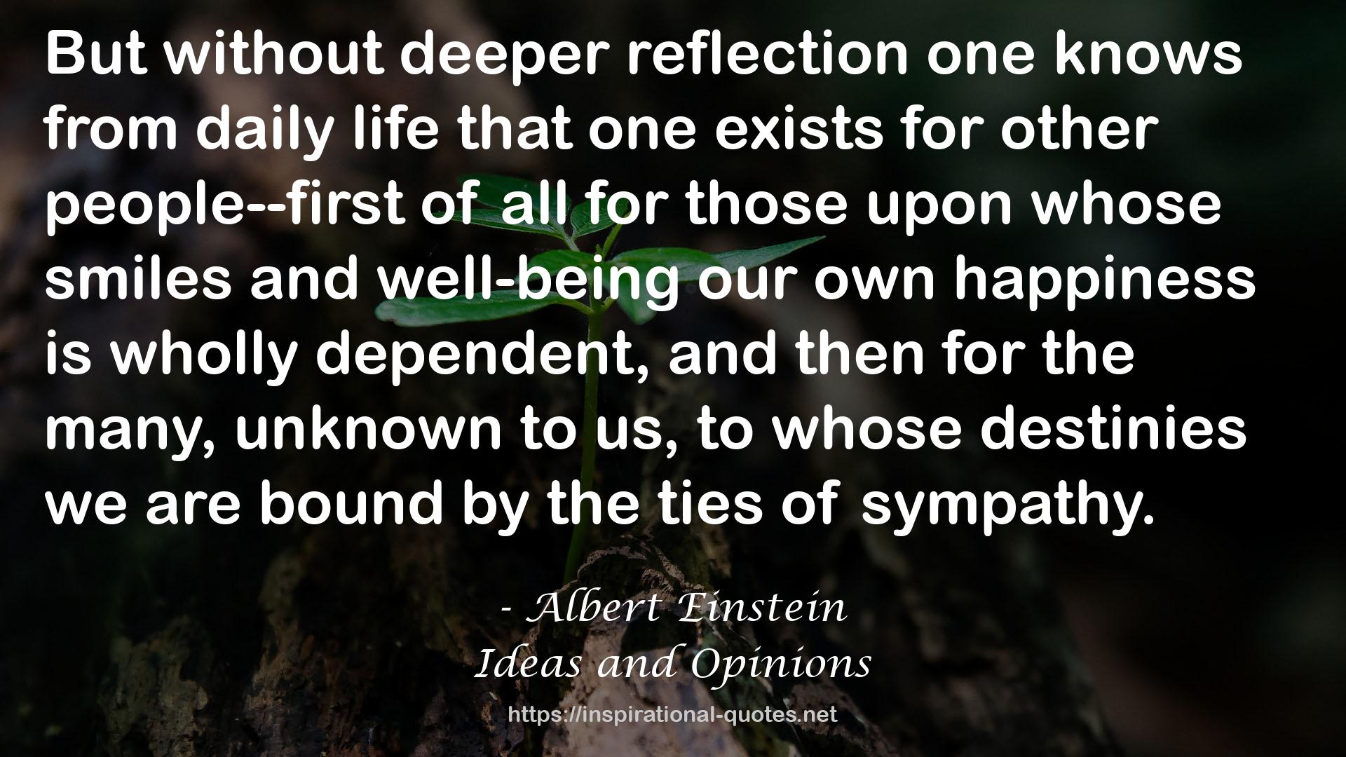 deeper reflection  QUOTES