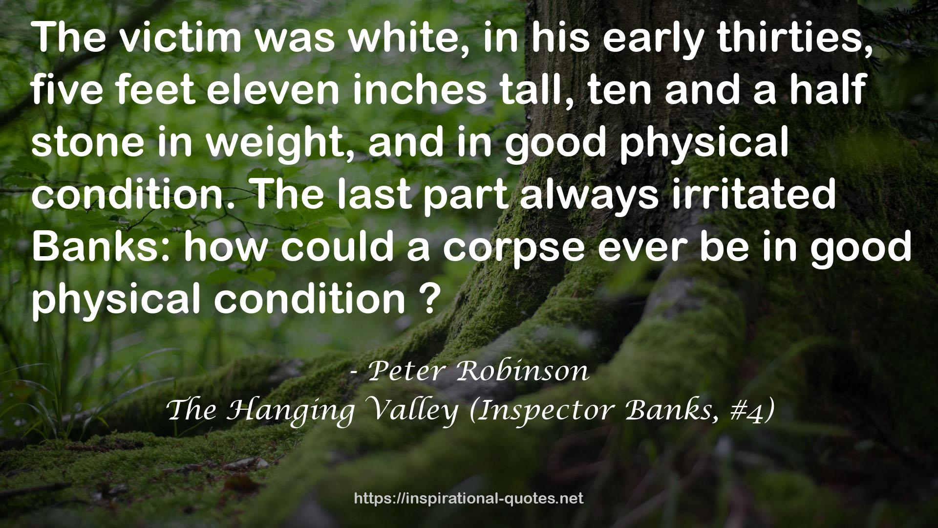The Hanging Valley (Inspector Banks, #4) QUOTES