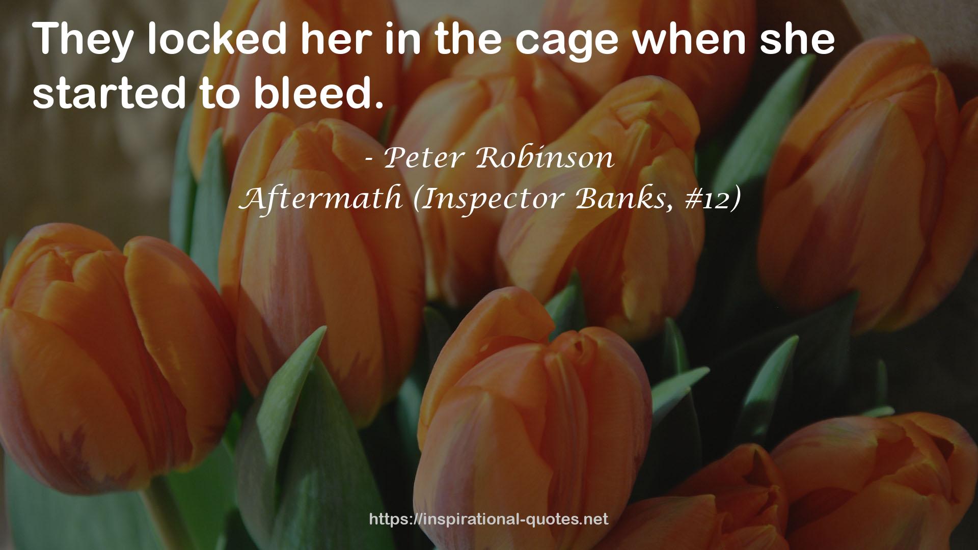 Aftermath (Inspector Banks, #12) QUOTES