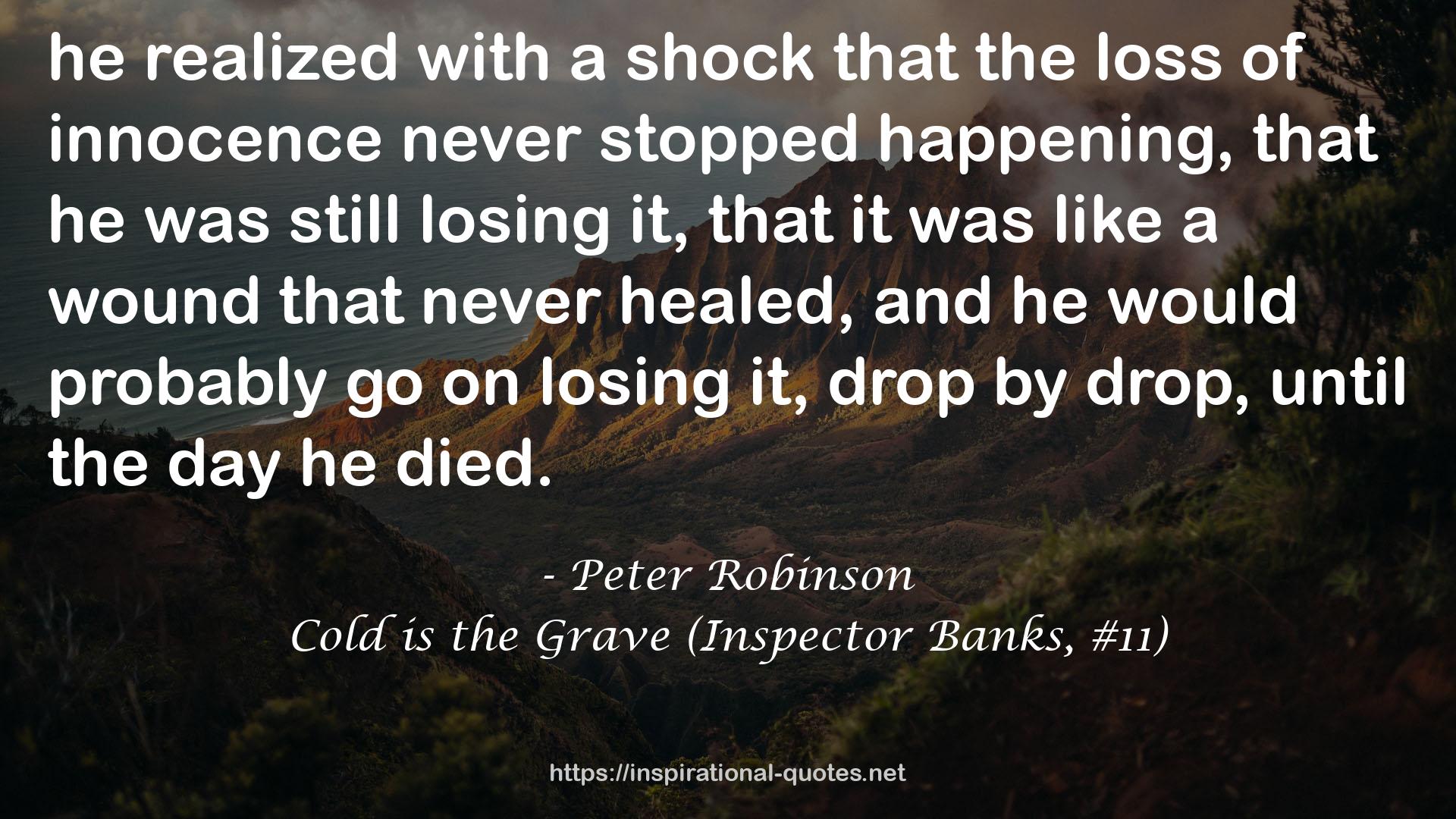 Cold is the Grave (Inspector Banks, #11) QUOTES