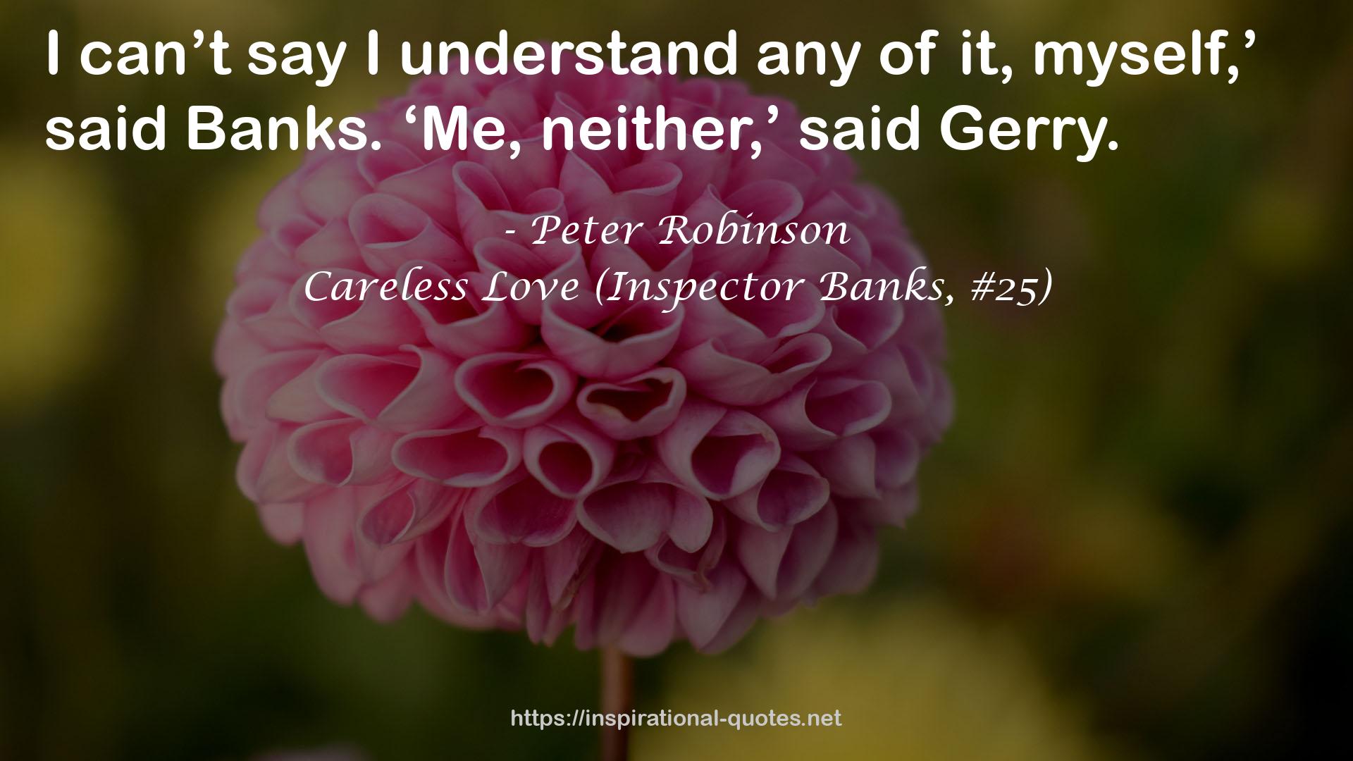 Careless Love (Inspector Banks, #25) QUOTES