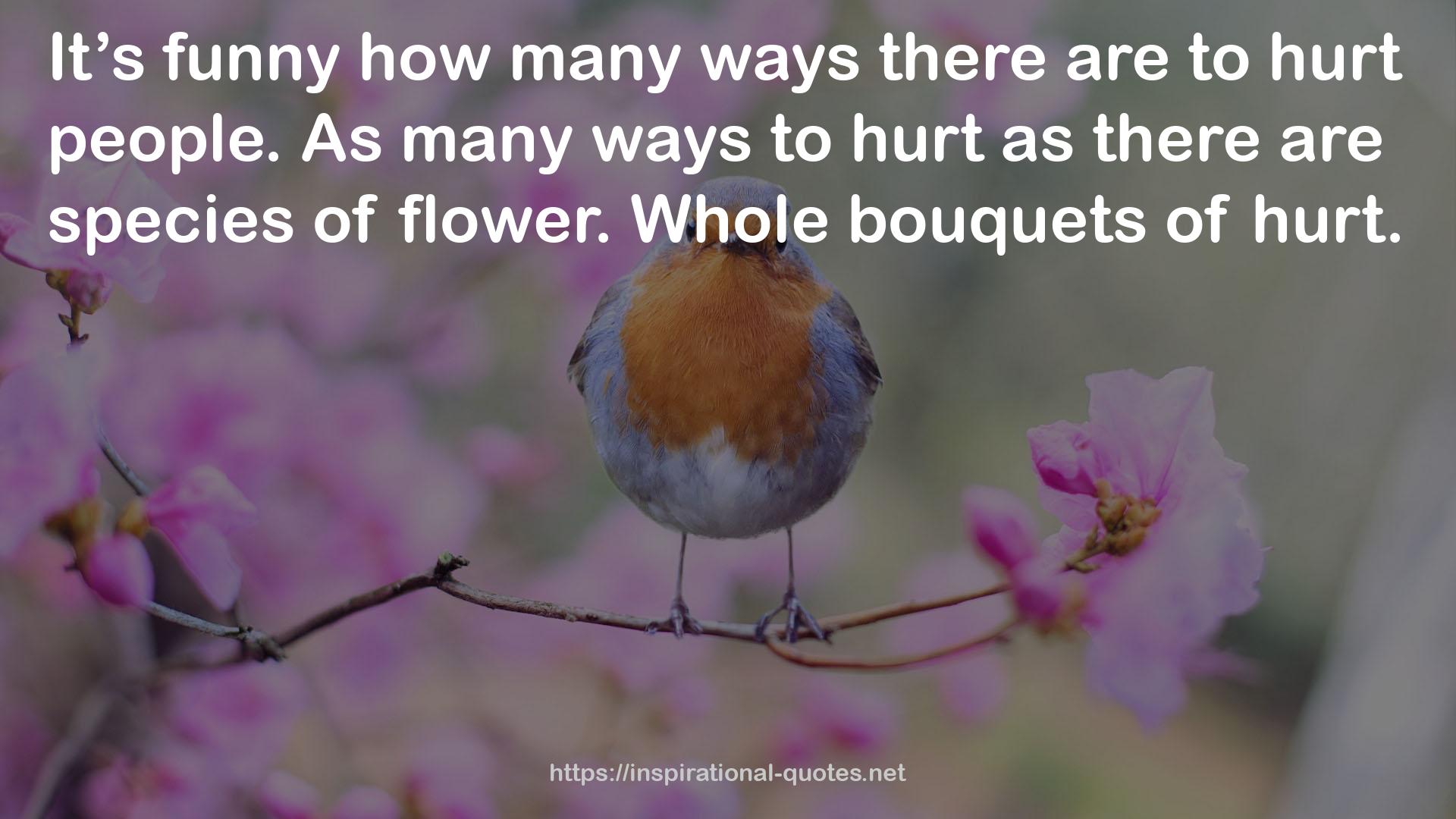 Whole bouquets  QUOTES