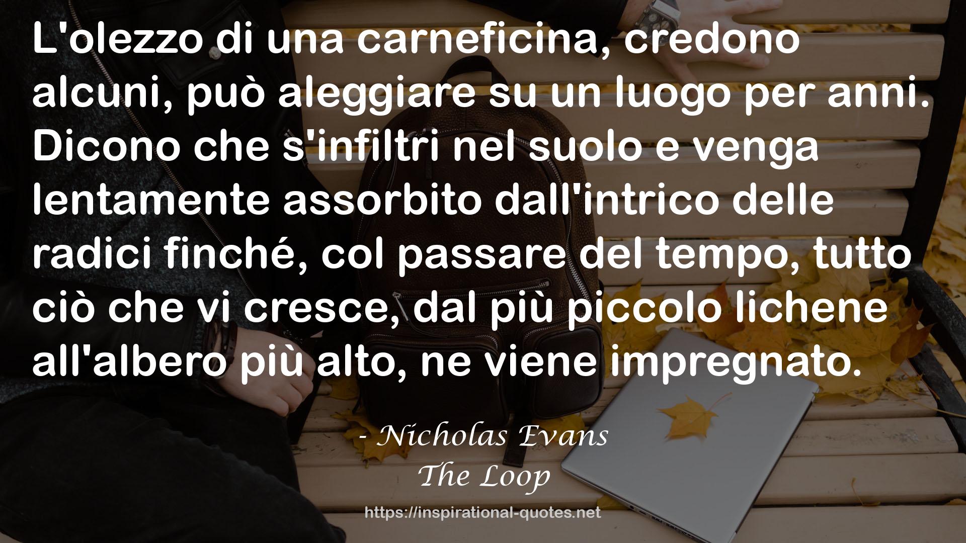 The Loop QUOTES