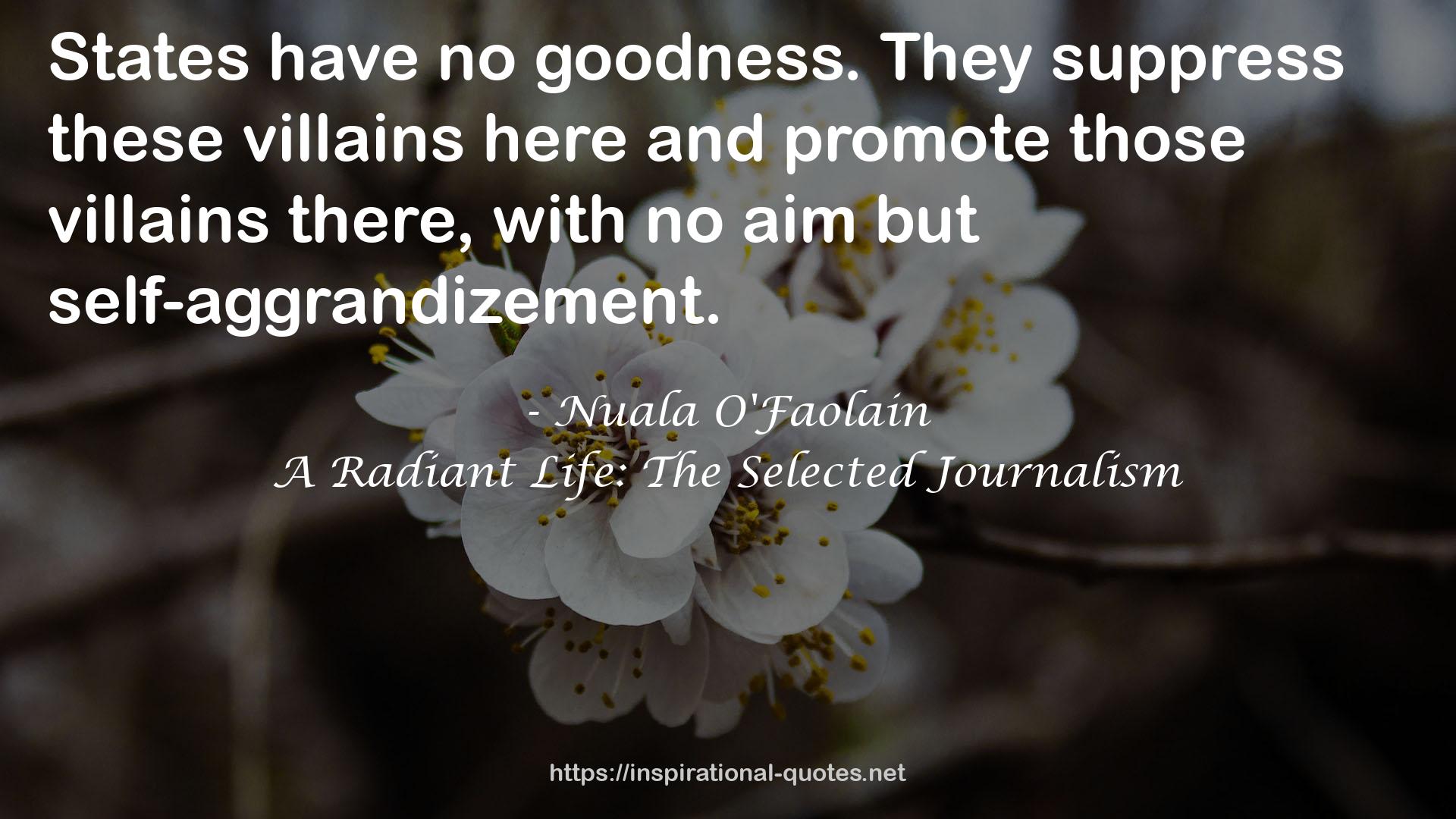 A Radiant Life: The Selected Journalism QUOTES