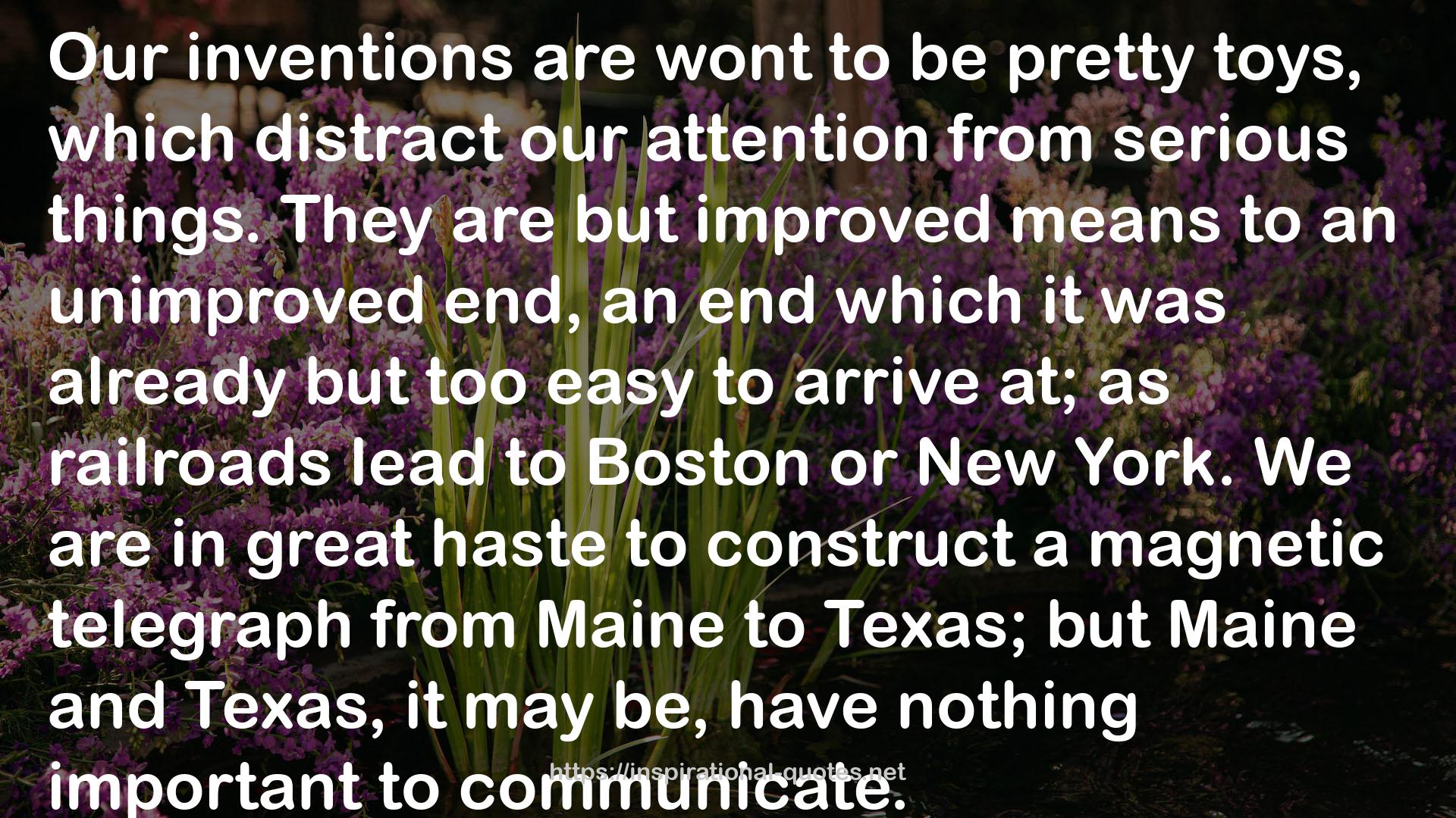 Maine  QUOTES