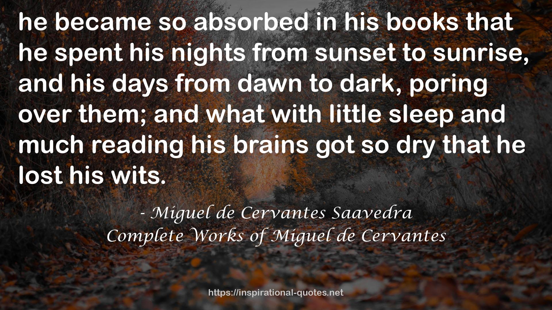 Complete Works of Miguel de Cervantes QUOTES