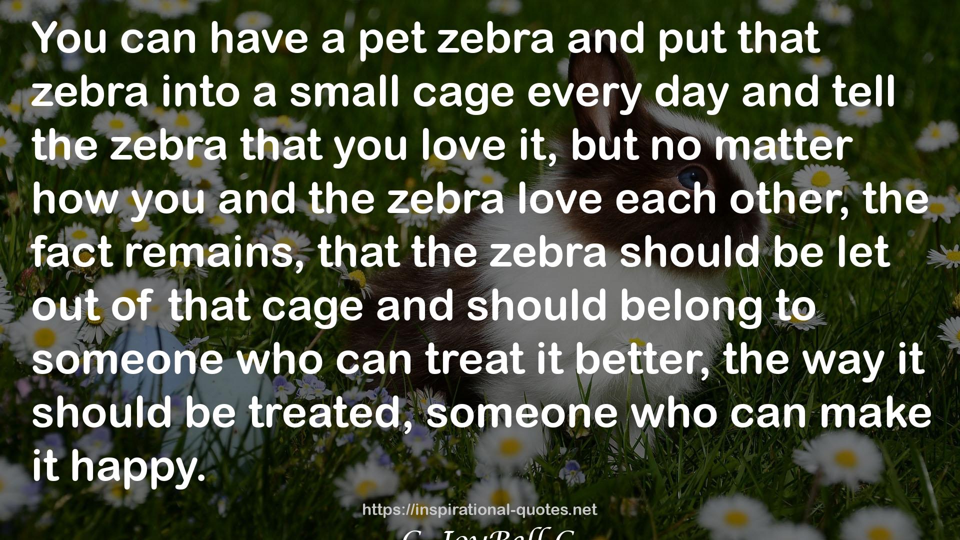 a pet zebra  QUOTES