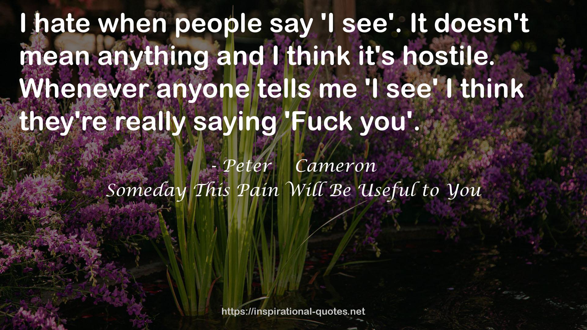 Peter    Cameron QUOTES