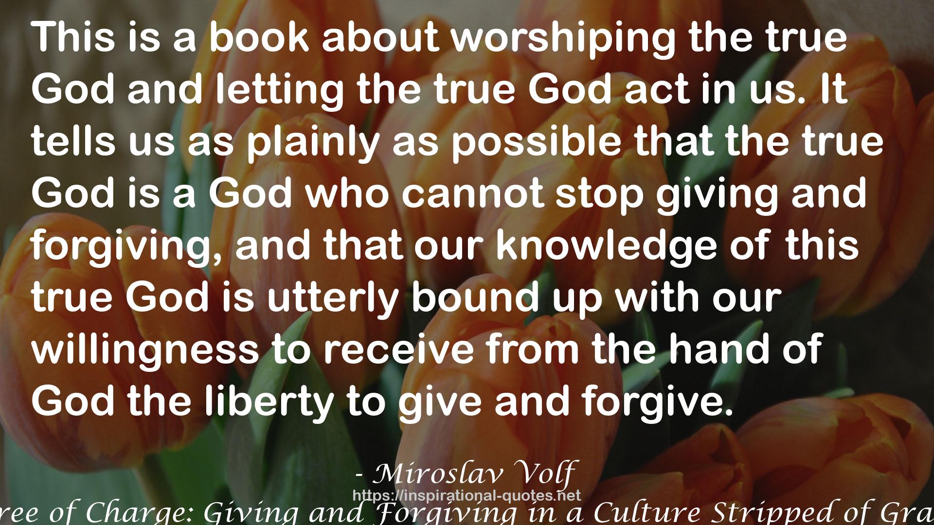 Miroslav Volf QUOTES