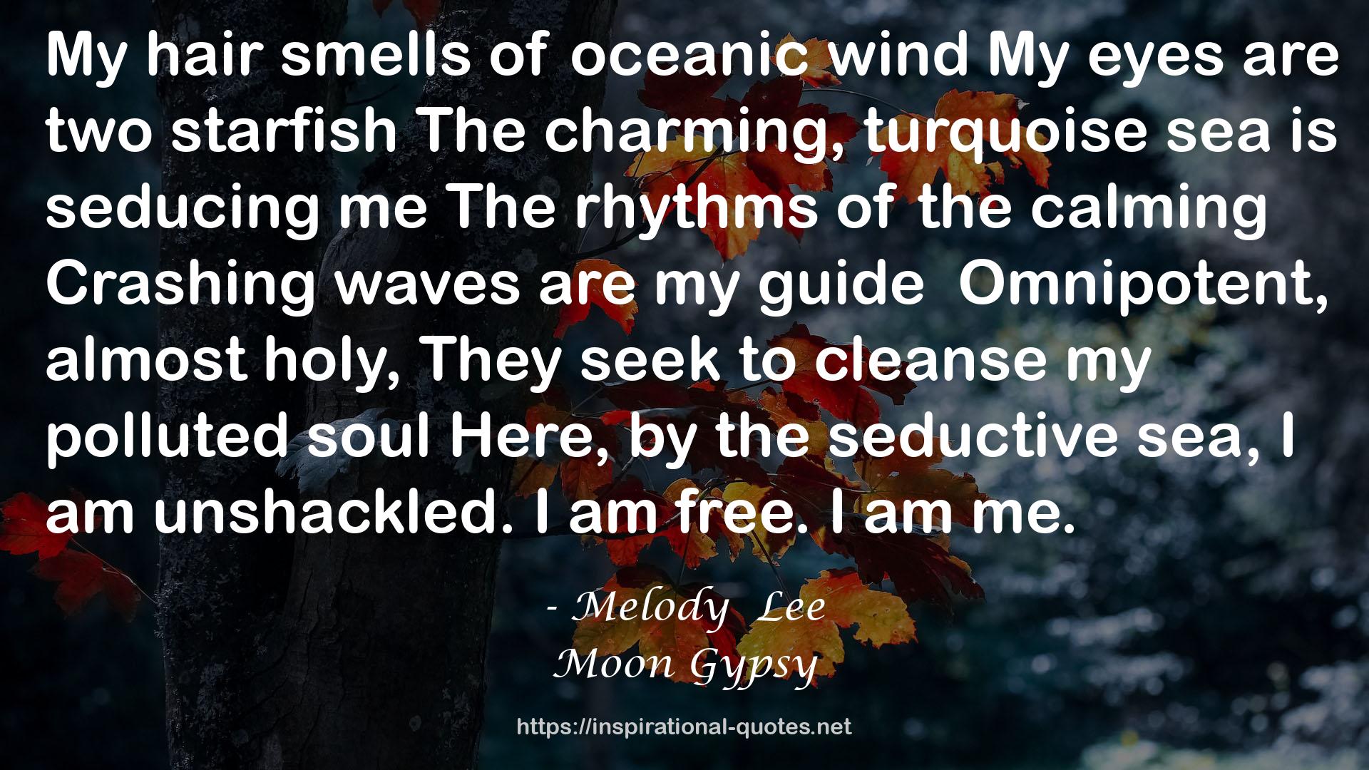 windMy  QUOTES