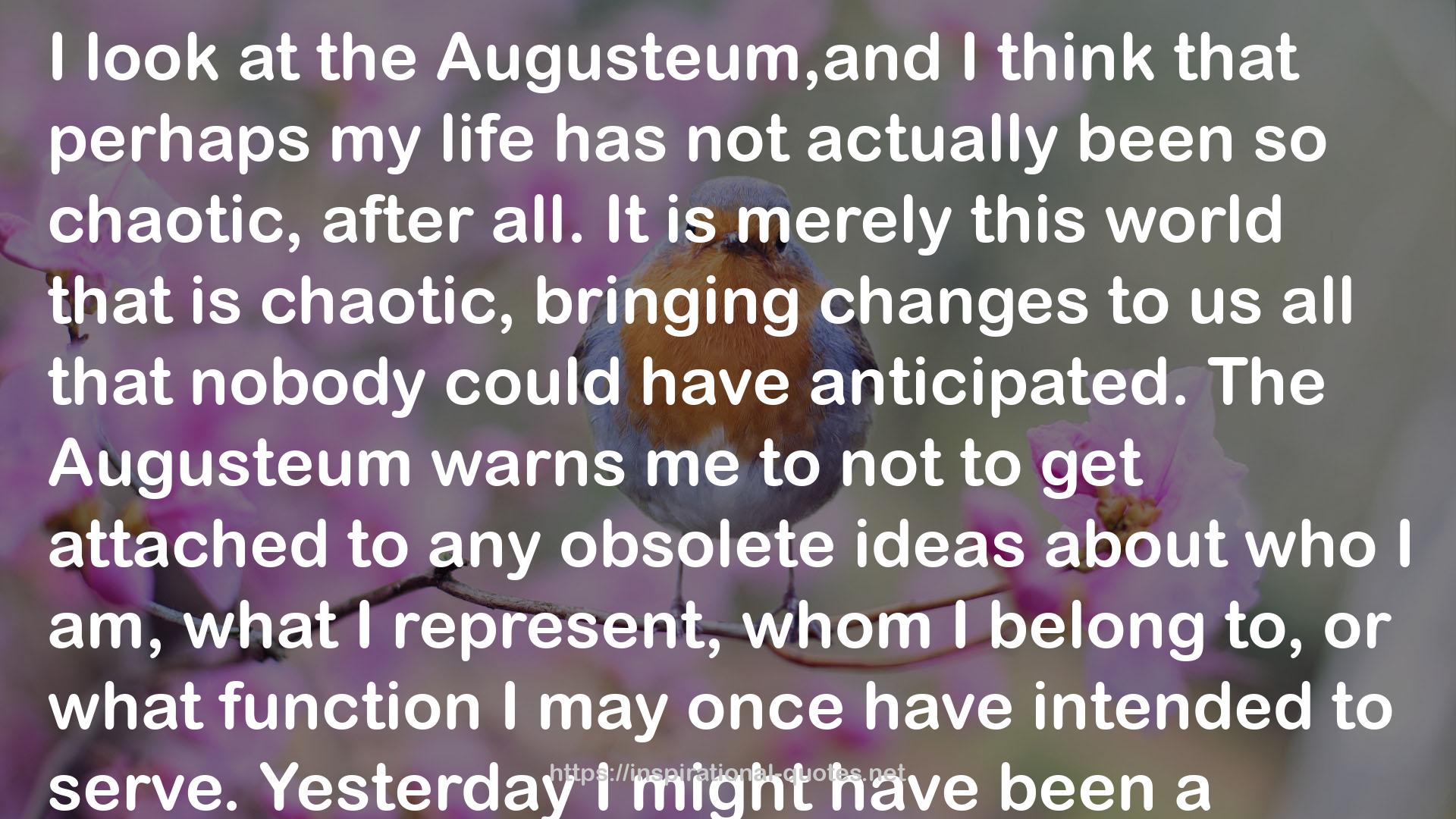 Augusteum  QUOTES