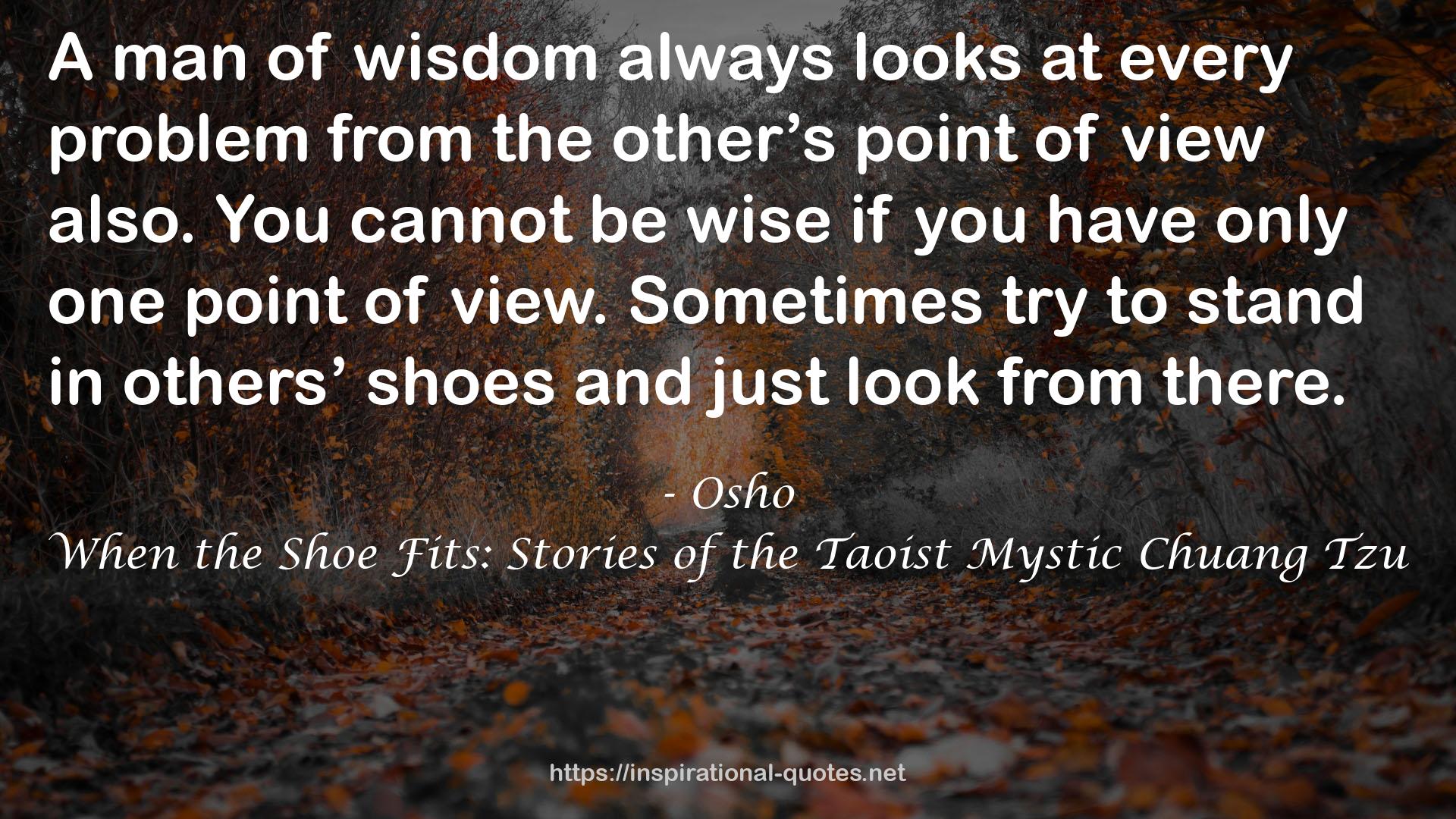 others’ shoes  QUOTES