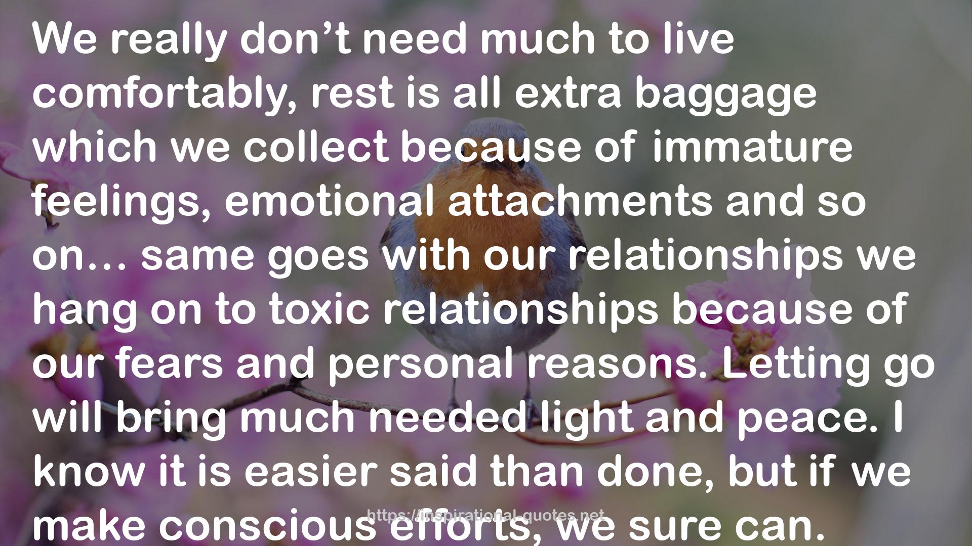 emotional attachments  QUOTES