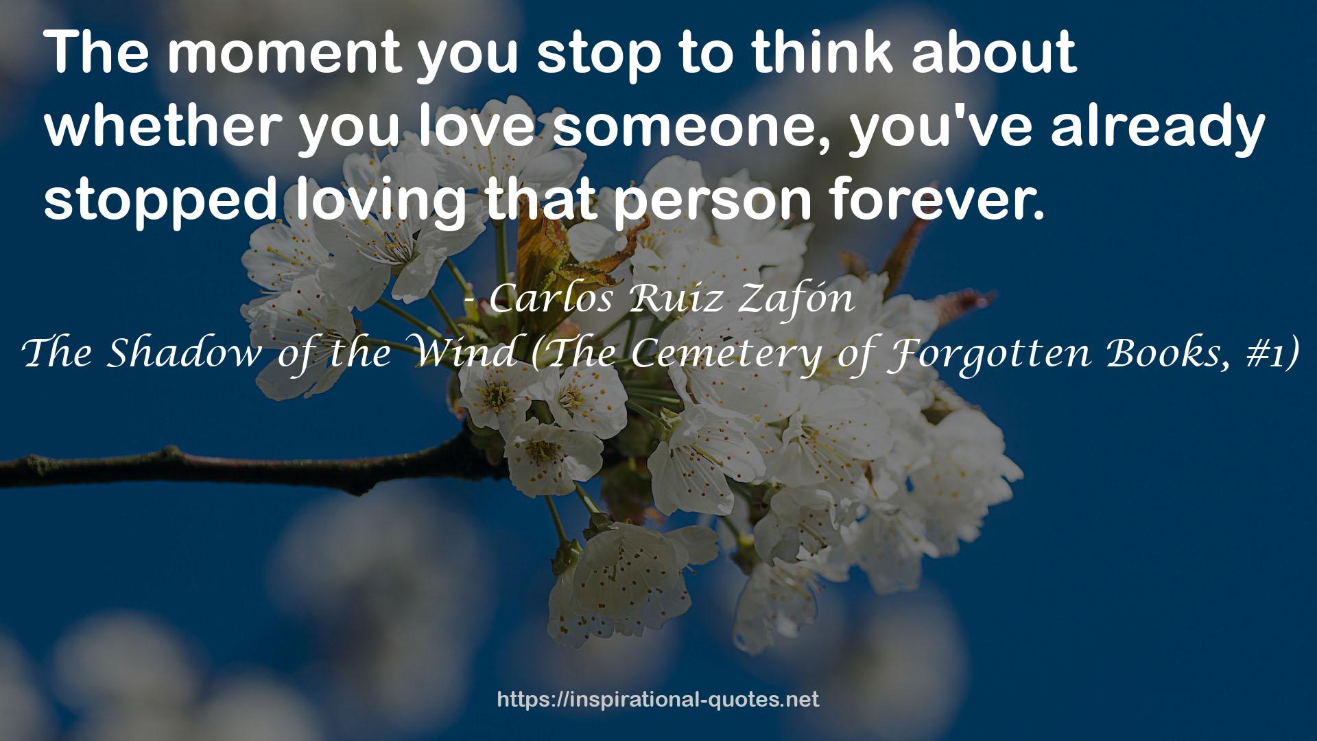 The Shadow of the Wind (The Cemetery of Forgotten Books, #1) QUOTES