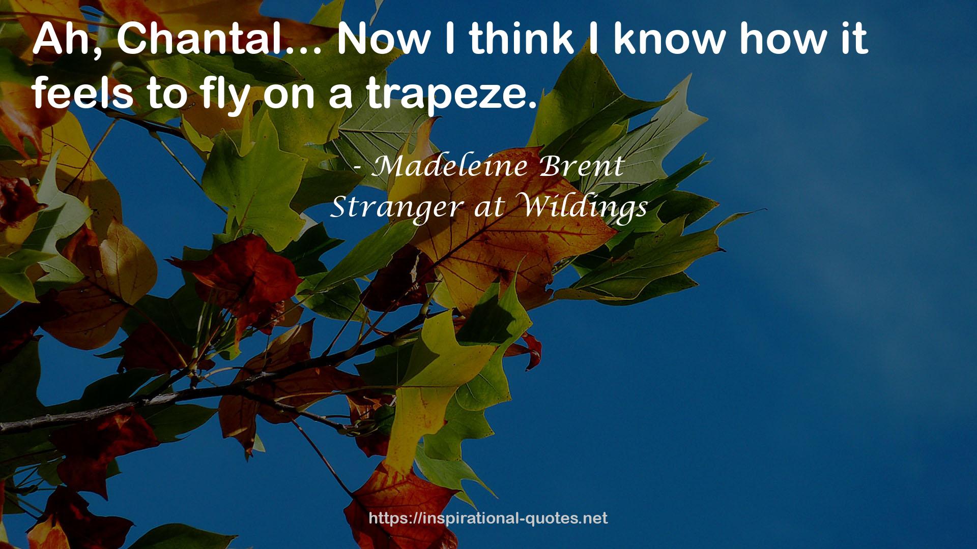 Stranger at Wildings QUOTES